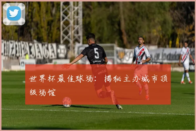 世界杯最佳球场：揭秘主办城市顶级场馆